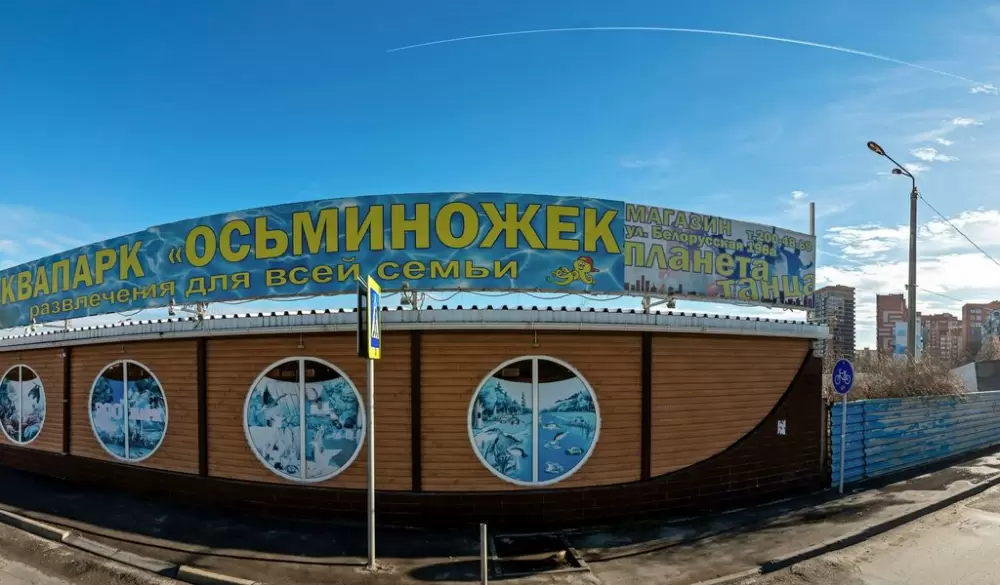 слайд